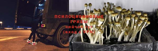 мяу мяу кристалл Абаза